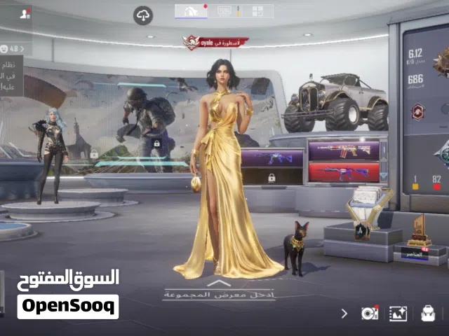 حساب ببجي للبيع مستعجل