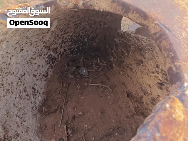 فأس صوندا للل