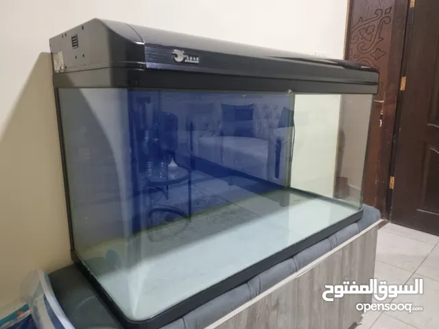 حوض سمك اجنبي