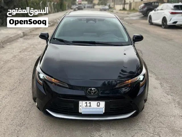 كورله2024بدون صبغ بسعر مناسب