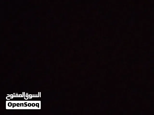 محتاج كلب جيرمن جرو بسعر 80 او 75