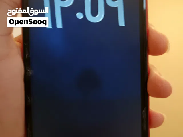 Apple iPhone 11 64 GB in Muscat