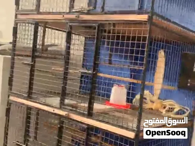 قفص حديد للبيع متكون من 8 خانات مع السحاب كامل حديد ما عدا ف الخلف مفروض يركب ع الجدار أنا سويتله شي