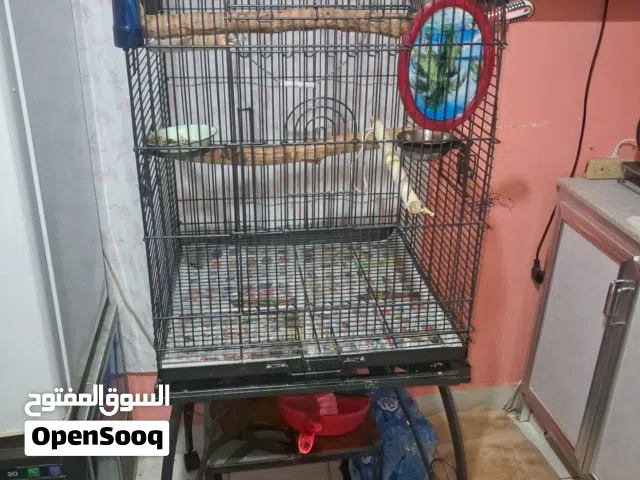 Parrot  cage good condition  25kd