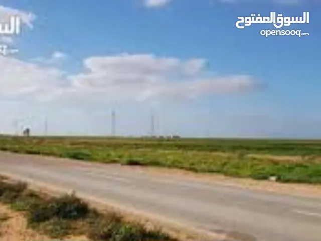 Farm Land for Sale in Basra Al-Jazzera