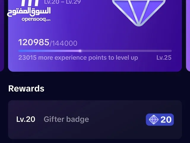 TikTok ID Level 24