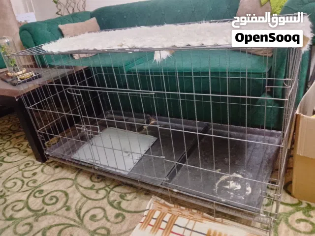 اكسسوارات حيوانات اليفه