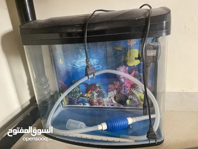 Rarely Used fish tank ( 50x20x40 cm height) in good condition for sale