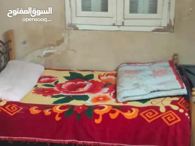 غرفه للايجار بشقه 3 غرف سكن مشترك مع مستشار زراعي