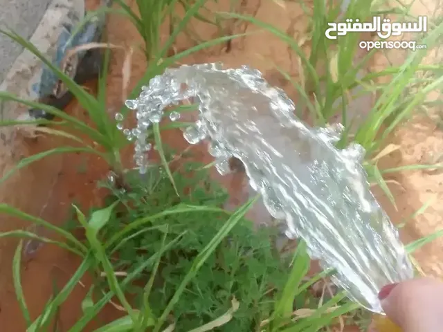 استديو للايجار متكون من دار 4\4وصاله6\5مطبخ تام بدولاب وسط حوش اصغير وحمام وجنان اكبير بير وفسقيه