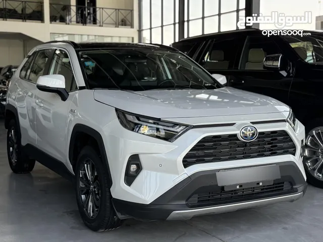 Rav 4 2024 VIP