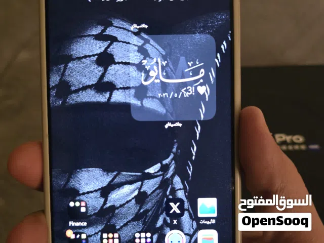 vivo x300 pro