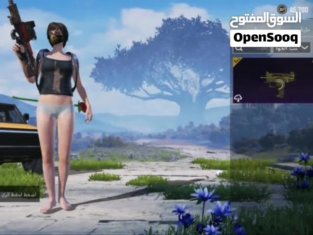 Pubg Accounts and Characters for Sale in Amman