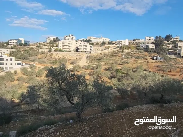 أرض للبيع، من المالك