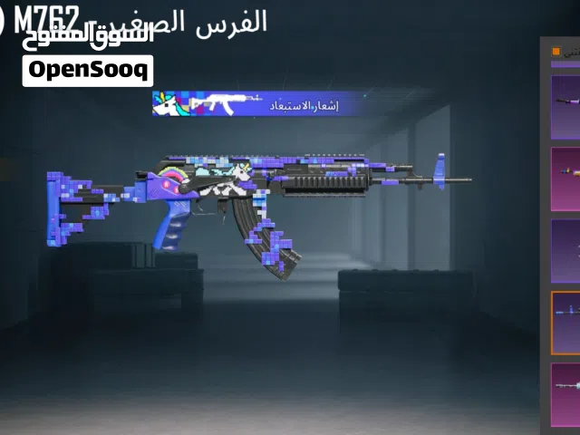 Pubg Accounts and Characters for Sale in Amman