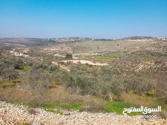 Residential Land for Sale in Tulkarm Kafr Zibad