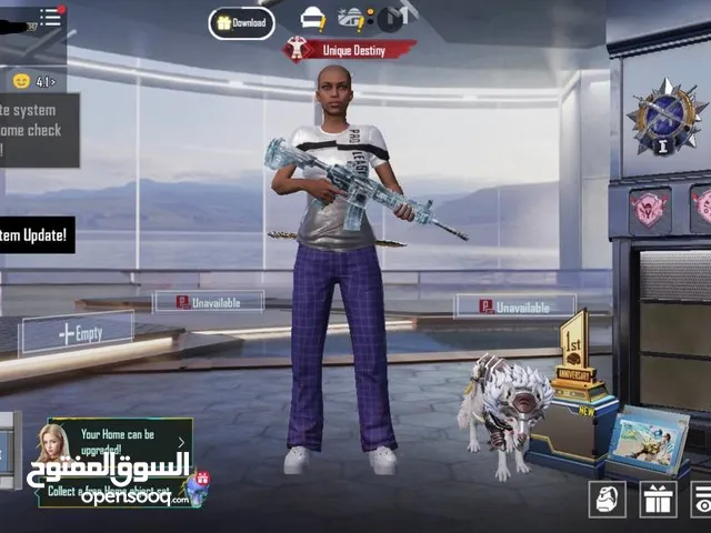 Pubg Accounts and Characters for Sale in Abu Dhabi