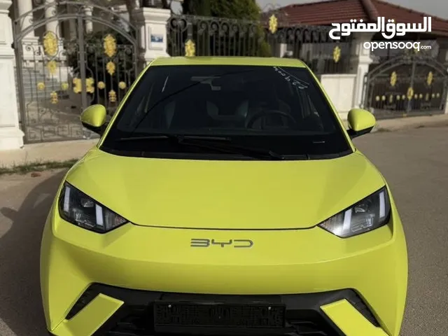 سيجال SEAGULL 2023 لون فسفوري