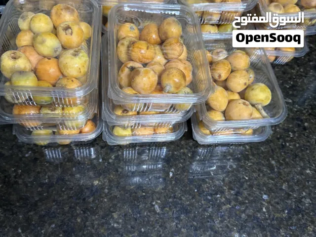 اسكدنيا بسعر مميز