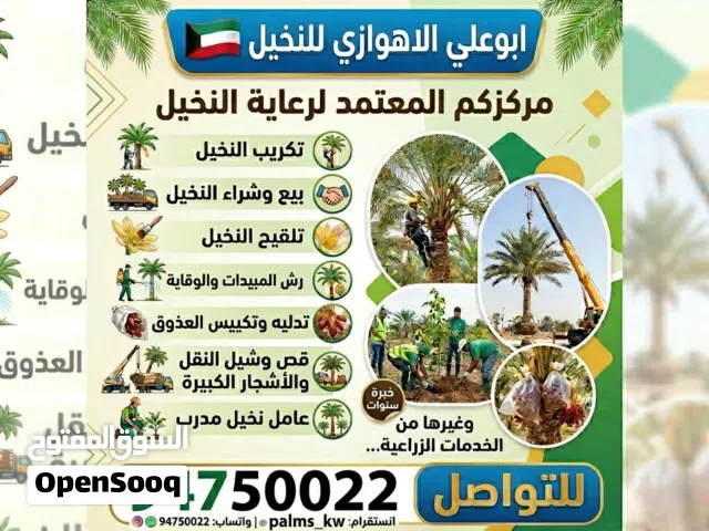 بوعلي الاهوازي للنخيل واتساب او اتصال للسعر
