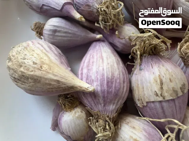 ثوم ذكر محلي