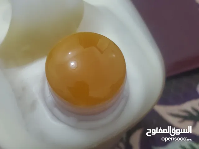 عسل سدر ملكي ذهبي