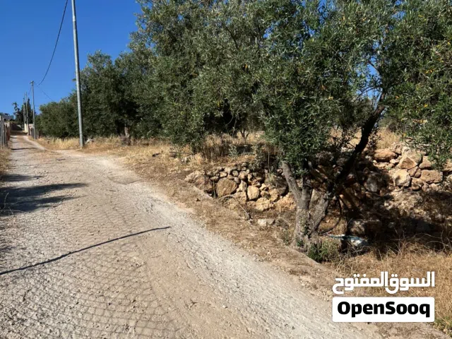 Mixed Use Land for Sale in Jerash Unaybah