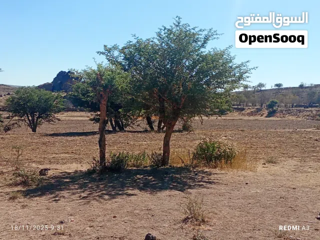 Farm Land for Sale in Sana'a Sabaha