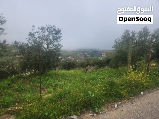 Residential Land for Sale in Amman Bilal