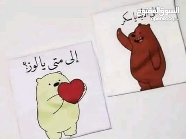 كايدجنين