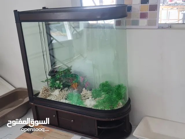 حوض اسماك زينه بكامل معداته حجم كبير ومنظر خلاب