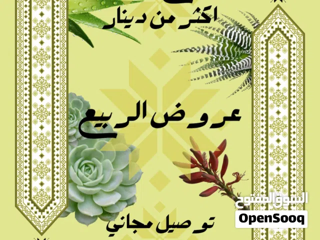 عروض وهدايا الربيع من أَلْوَى للنباتات المنزلية