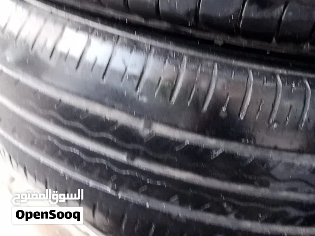 جوز كوشوك  قياس 15