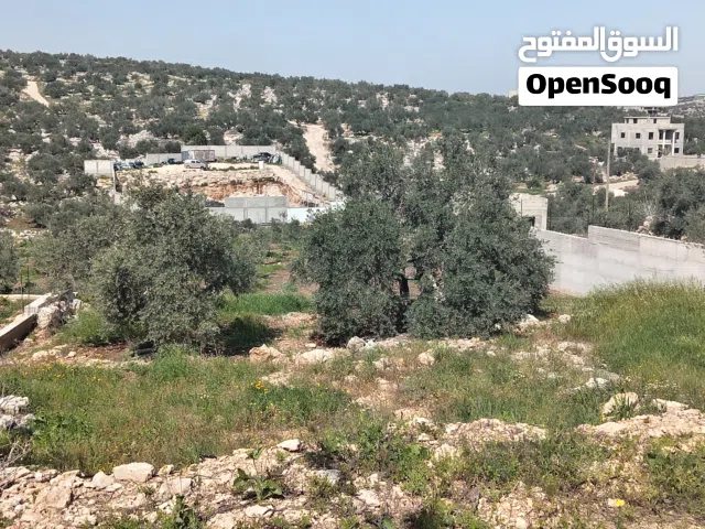 ارض للبيع مفروز