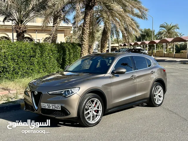 Stelvio 2018 118km only perfect conditions fully loaded regular agency service