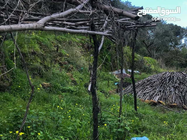 Mixed Use Land for Sale in Aley Other