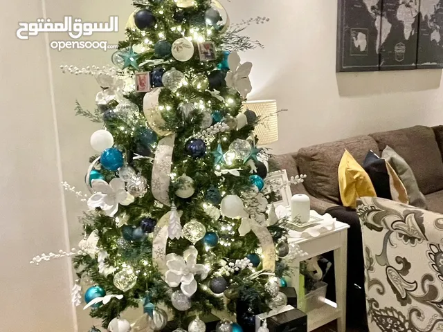 Used Christmas Tree for Sale