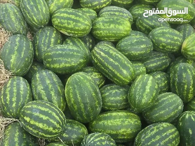 Fresh Watermelons, Pineapple, Eggplant– High Quality for Wholesale and Export fresh, sweet