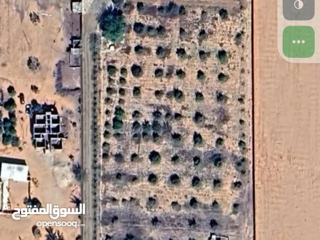 مزرعه نمودجيه مسوره على واجهتين من المالك. امكانية الاستبدال بعقار داخل طرابلس