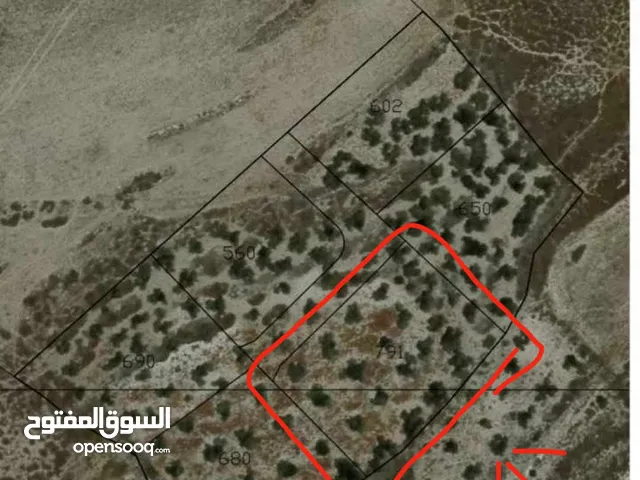 Mixed Use Land for Sale in Nablus Tal Village