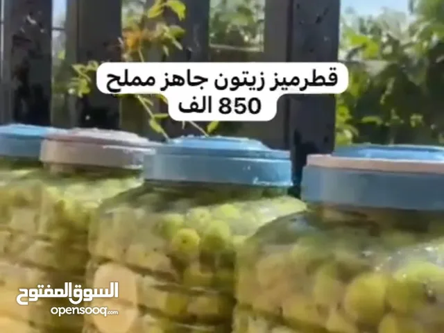 قطرميز زيتون مملح جاهز وزن 3 كيلو ونص