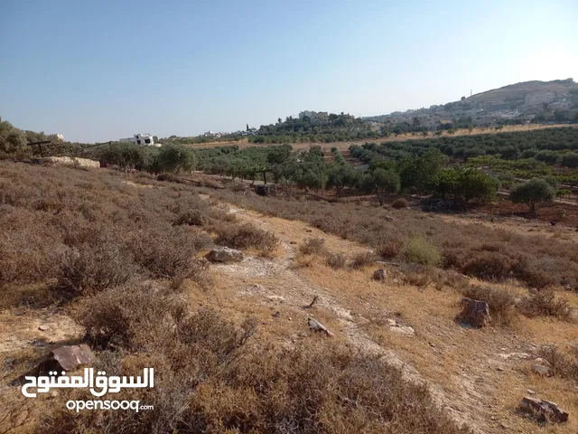 Residential Land for Sale in Amman Husban