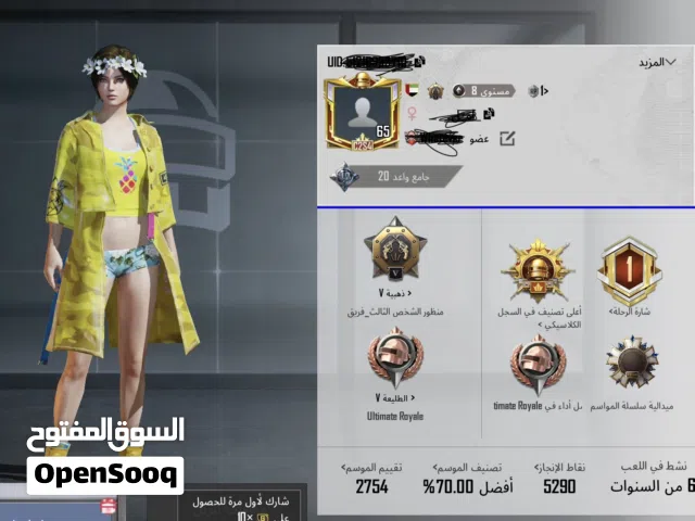 Pubg Accounts and Characters for Sale in Al Ain