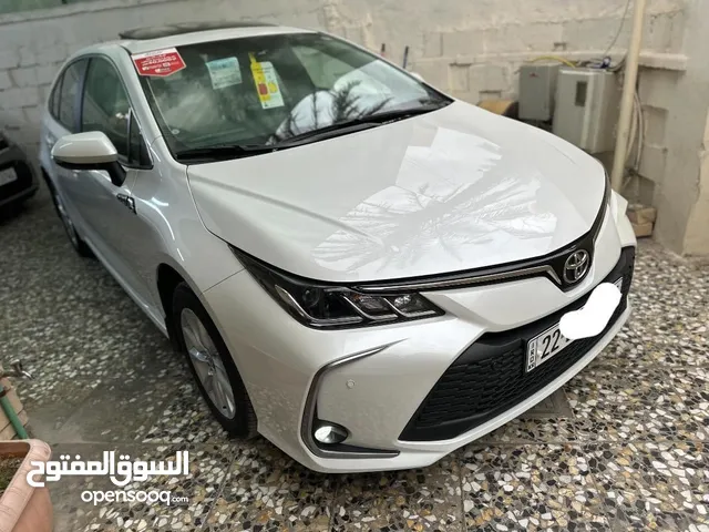 New Toyota Corolla in Baghdad