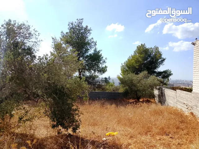 ارض للبيع في كفر نعمة