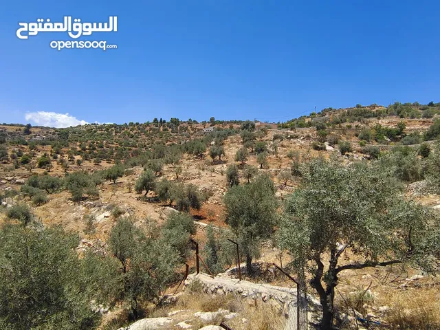 Mixed Use Land for Sale in Jerash Soof
