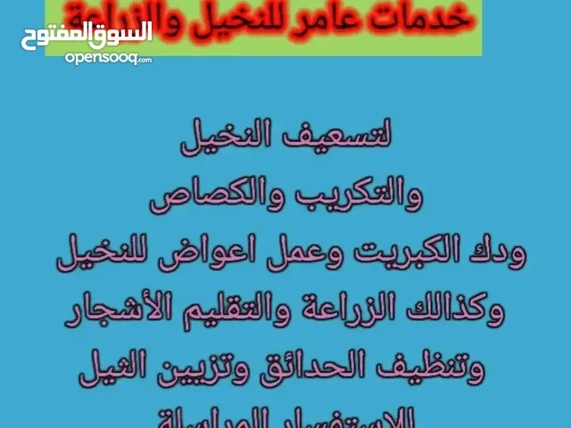 خدمات عامر للزراعة والنخيل وترتيب الحدائق والتنظيف والتقليم الأشجار للاستفسار واتساب