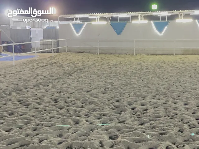 للبيع خلو اسطبل جاهز