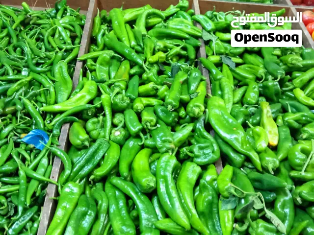 شركة توريد الفواكة والخضروات الطازجة بجدة