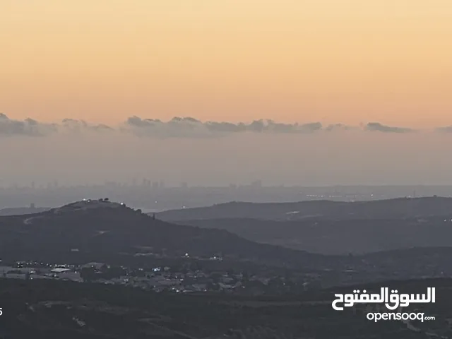Residential Land for Sale in Nablus Sarra